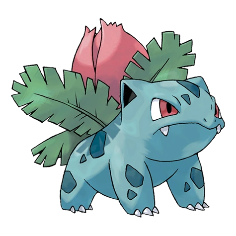 Ivysaur. There is a bud on this Pokémon’s back. To support its weight, Ivysaur’s legs and trunk grow thick and strong. If it starts spending more time lying in the sunlight, it’s a sign that the bud will bloom into a large flower soon.